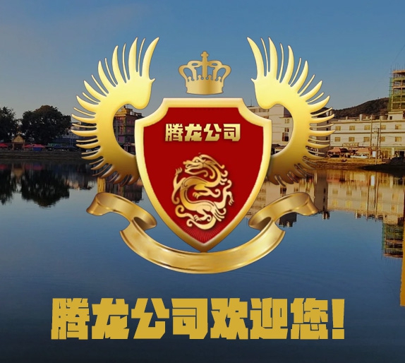 腾龙公司团队风采